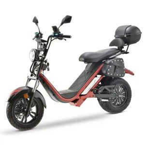 4000 W Europe Electric Scooter